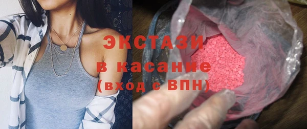 гидра Богданович