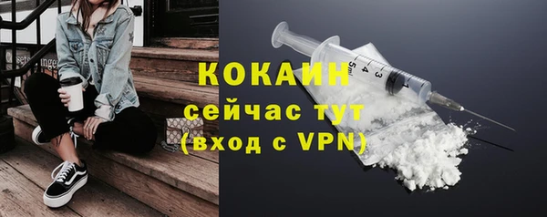 гидра Богданович