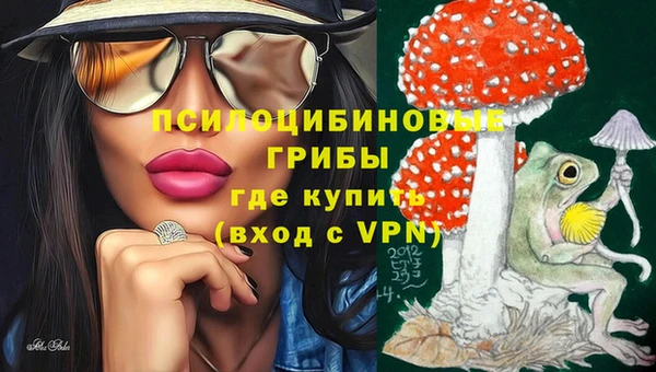 гидра Богданович