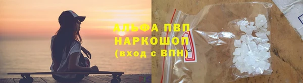 гидра Богданович