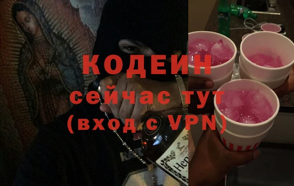 гидра Богданович